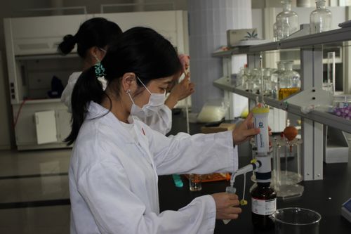 敘州區舉辦農產品安全檢測技術培訓，筑牢食品安全防線